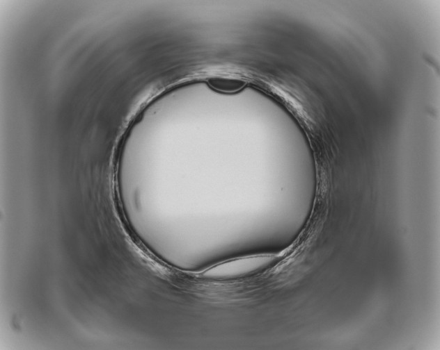 X0000095901471200802081129