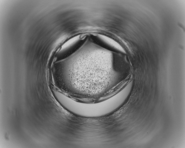 X0000095901472200802081129