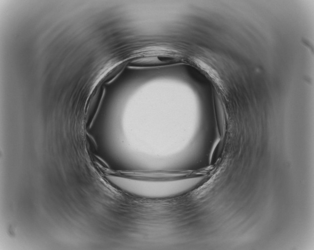 X0000095901473200802081129