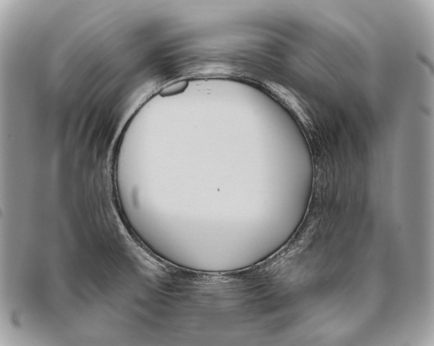 X0000095901475200802081129