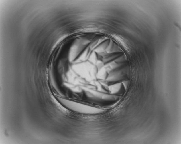 X0000095901476200802081129