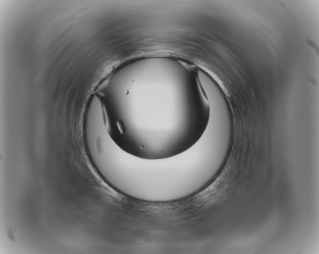 X0000095901477200802081129