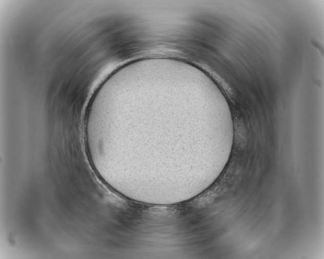 X0000095901478200802081129