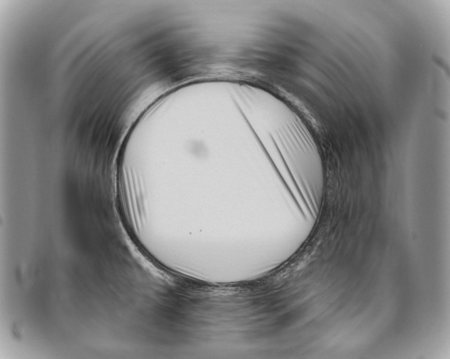 X0000095901479200802081129