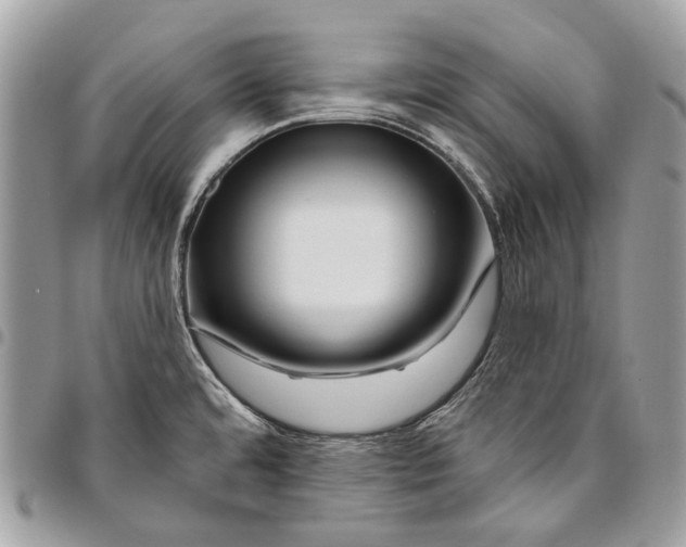 X0000095901480200802081129