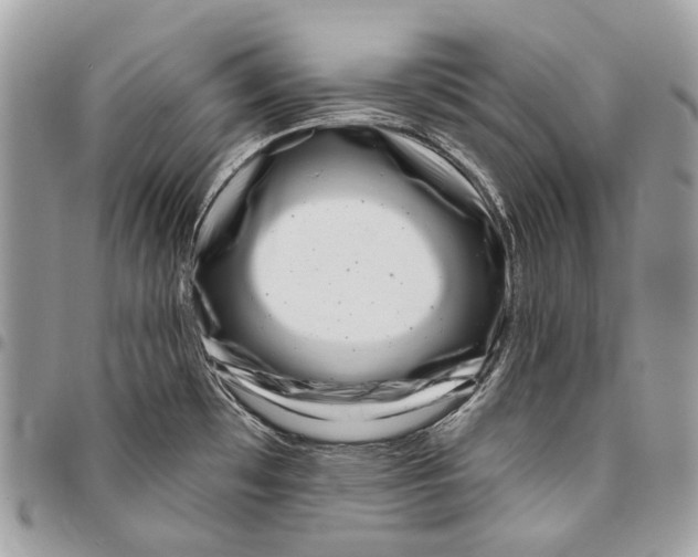 X0000095901481200802081129