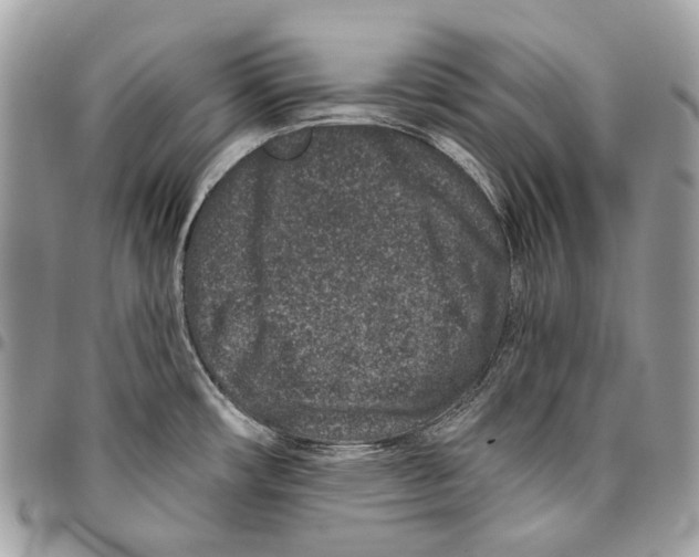 X0000095901482200802081129