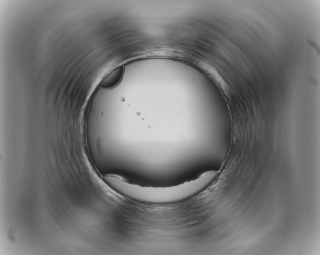 X0000095901483200802081129