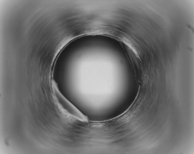 X0000095901484200802081129