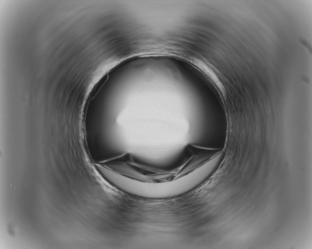 X0000095901485200802081129