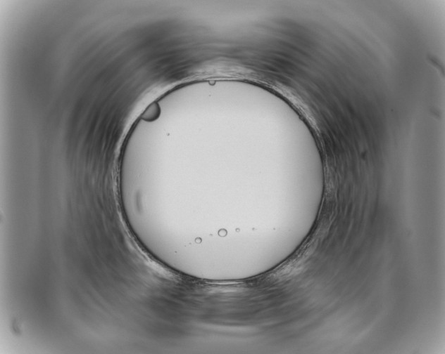 X0000095901486200802081129