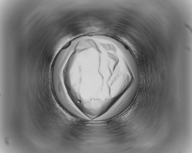 X0000095901487200802081129