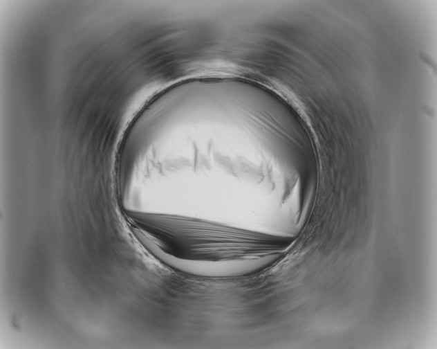 X0000095901488200802081129