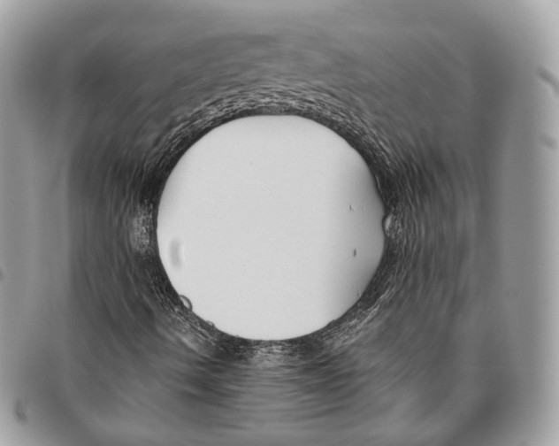 X0000095901490200802081128