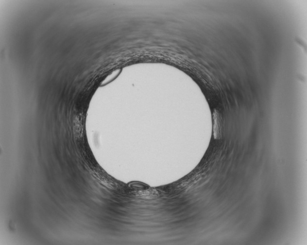 X0000095901491200802081128