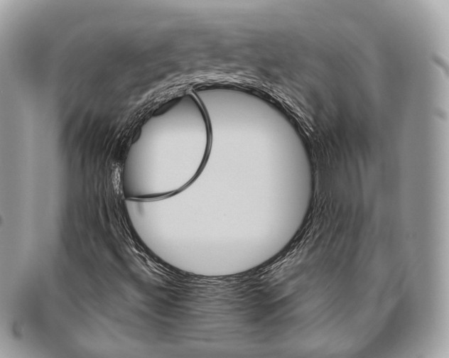 X0000095901492200802081128