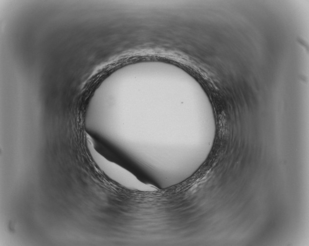 X0000095901494200802081128