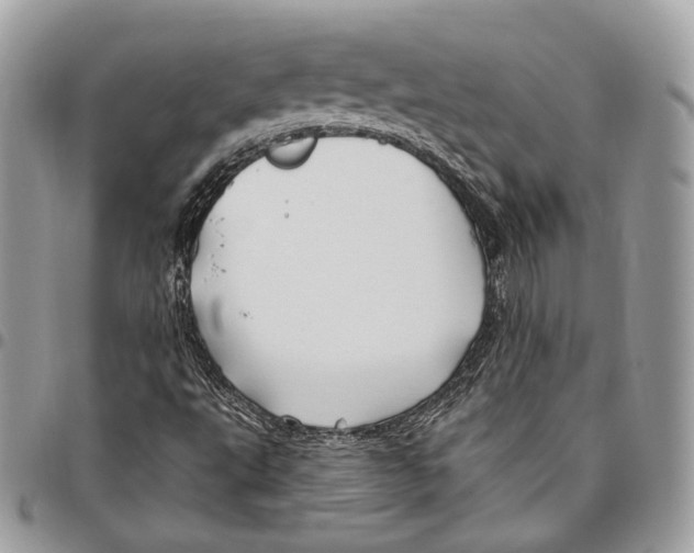 X0000095901495200802081128