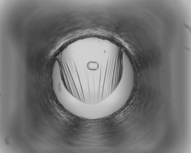 X0000095901496200802081128