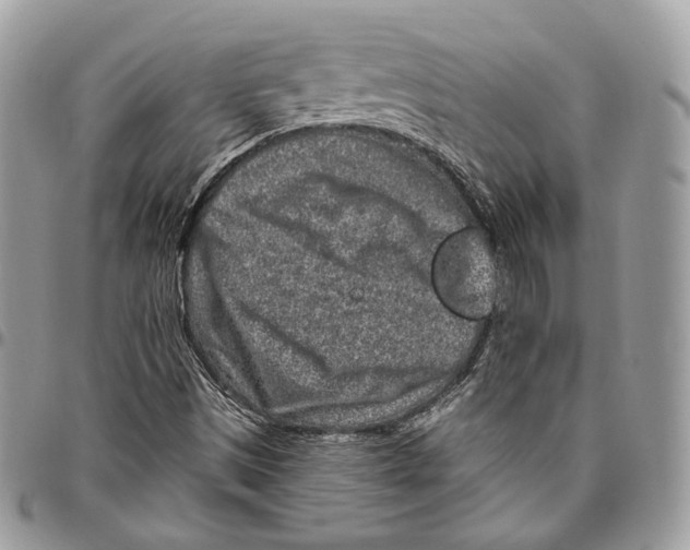 X0000095901497200802081128