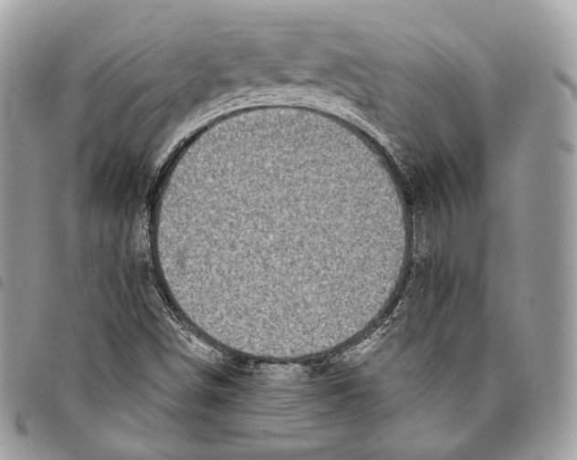 X0000095901498200802081128