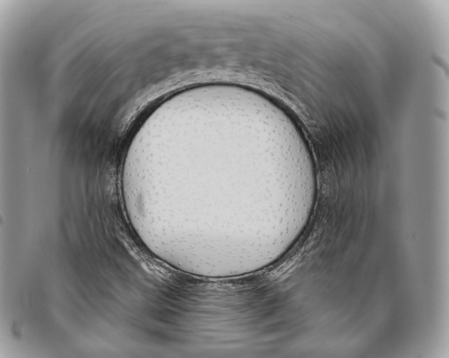 X0000095901499200802081128