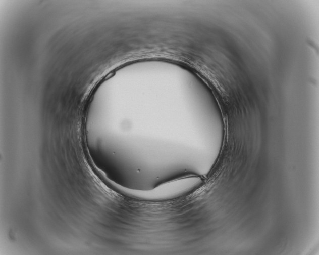 X0000095901500200802081128