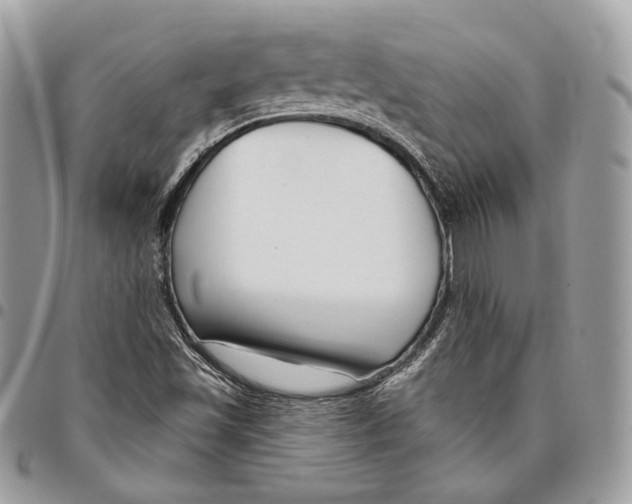 X0000095901501200802081128