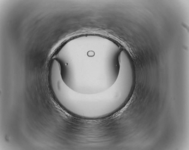 X0000095901502200802081128