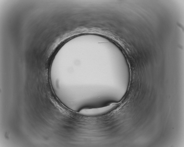 X0000095901503200802081128