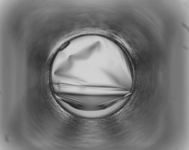 X0000095901504200802081128