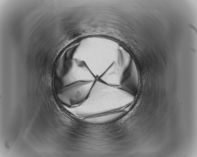 X0000095901505200802081128