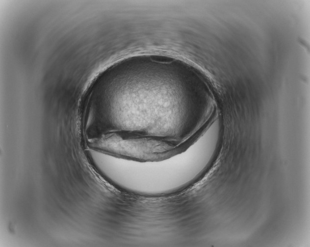 X0000095901506200802081128