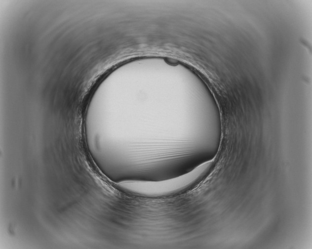 X0000095901507200802081128