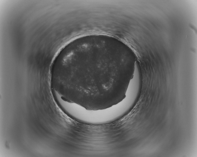 X0000095901508200802081128