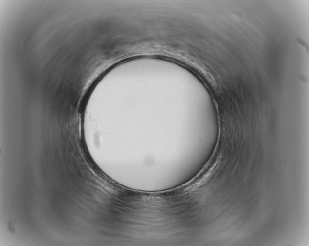 X0000095901509200802081128