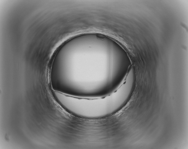 X0000095901510200802081128