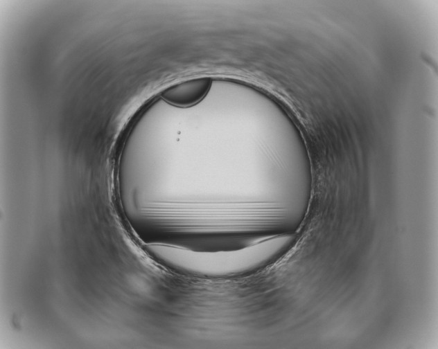 X0000095901511200802081128