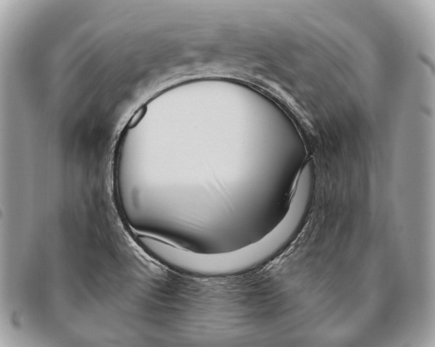 X0000095901512200802081128