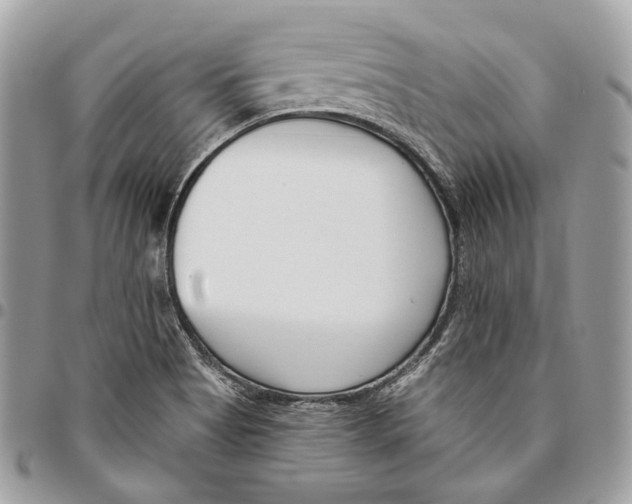 X0000095901513200802081128