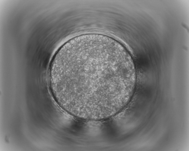 X0000095901514200802081128