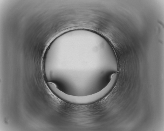 X0000095901516200802081128