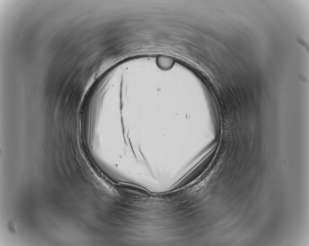 X0000095901517200802081128