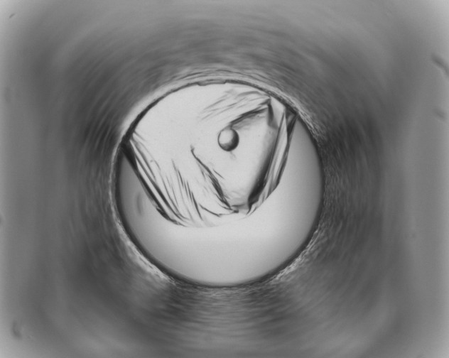 X0000095901518200802081128