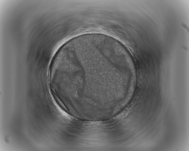 X0000095901519200802081128