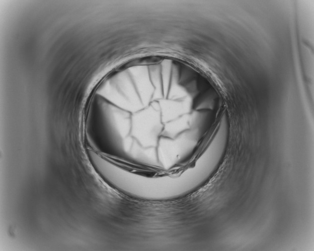 X0000095901520200802081128