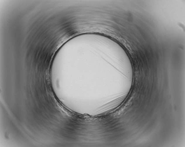 X0000095901521200802081128