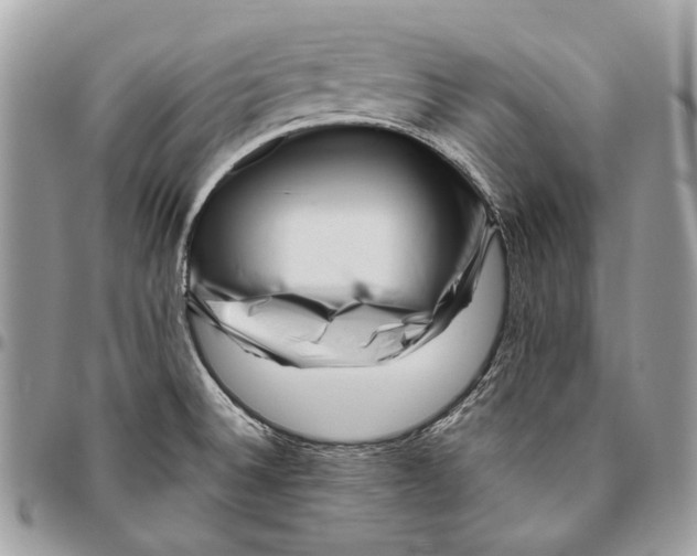 X0000095901524200802081128