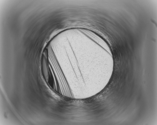 X0000095901525200802081129