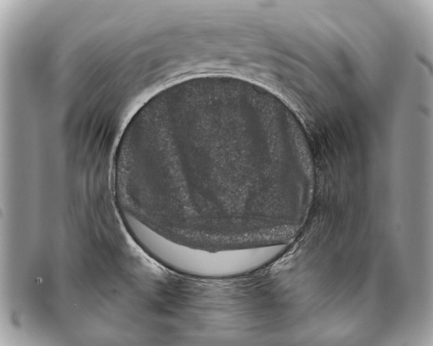 X0000095901527200802081129